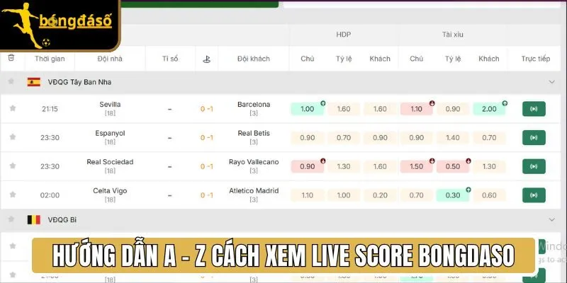 Hướng dẫn A - Z cách xem Livescore BONGDASO