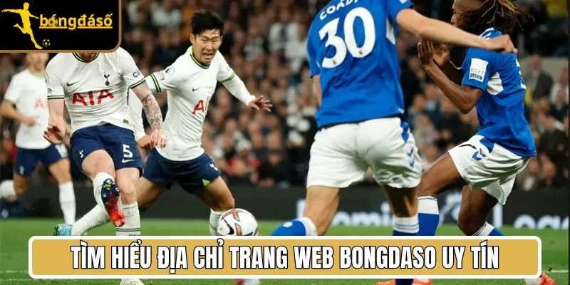 Tìm hiểu địa chỉ trang web Bongdaso uy tín
